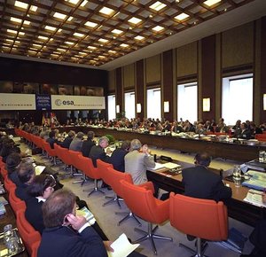 8th Ministerial Council: opening the meeting