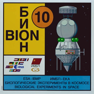 ESA Bion-10 mission logo