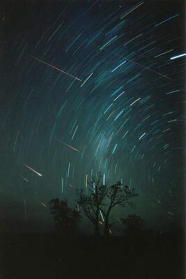 Leonid meteors in Western Australia