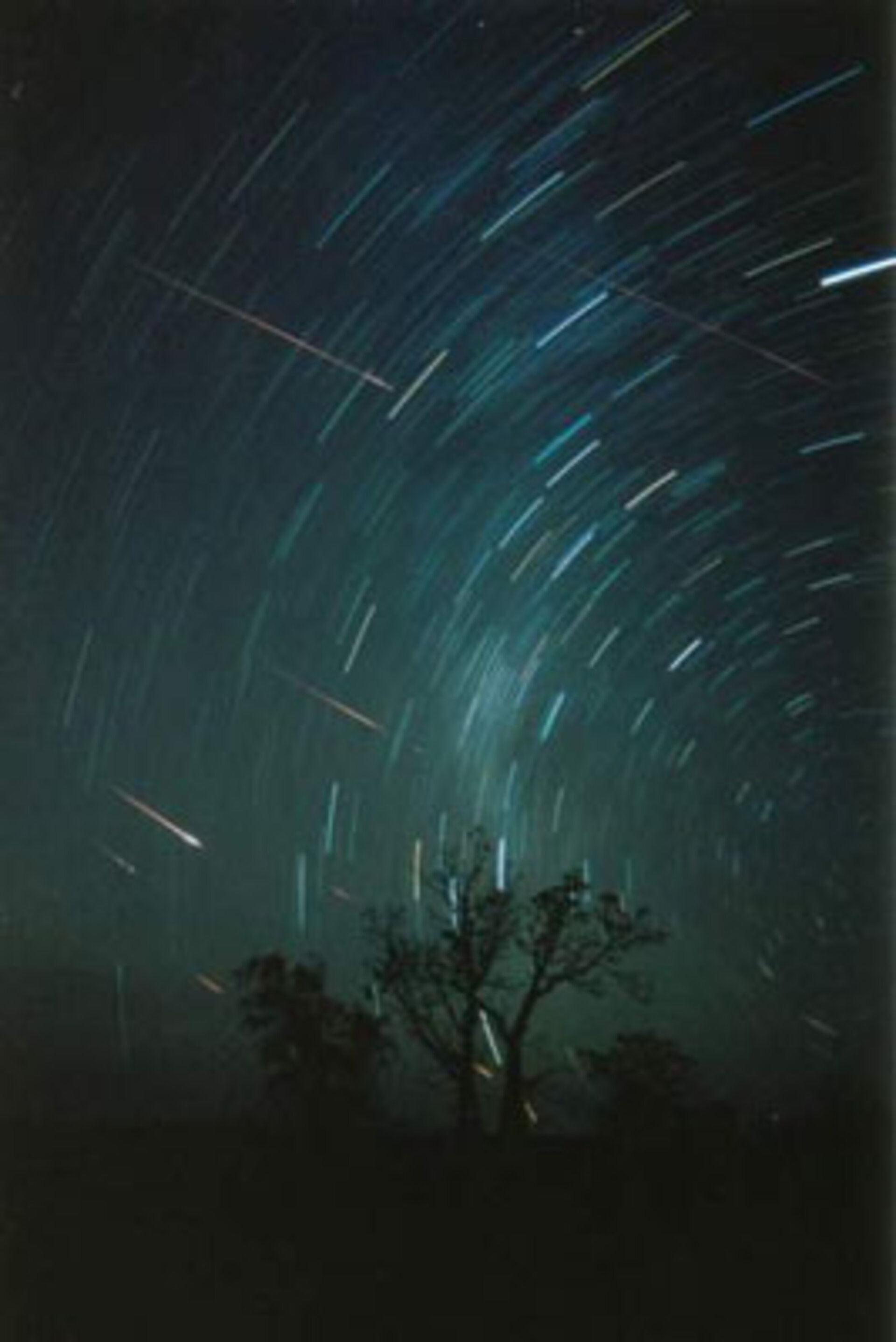 Leonid meteors in Western Australia