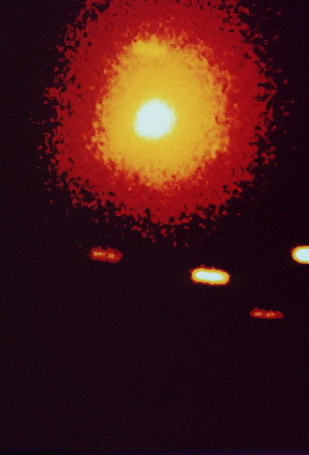 Comet P/Grigg-Skjellerup observed on 24 May 1987