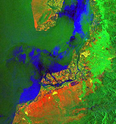 Satellite image showing mangrove regions at the Peru Ecuador border