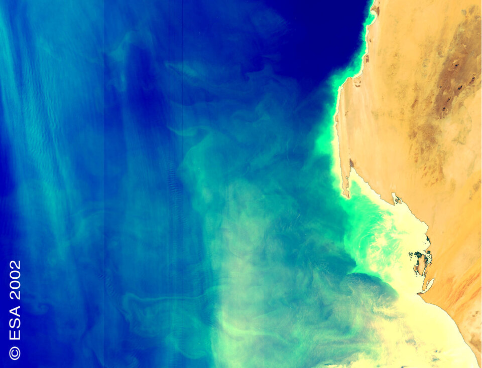 Upwelling near the coast of Mauritania