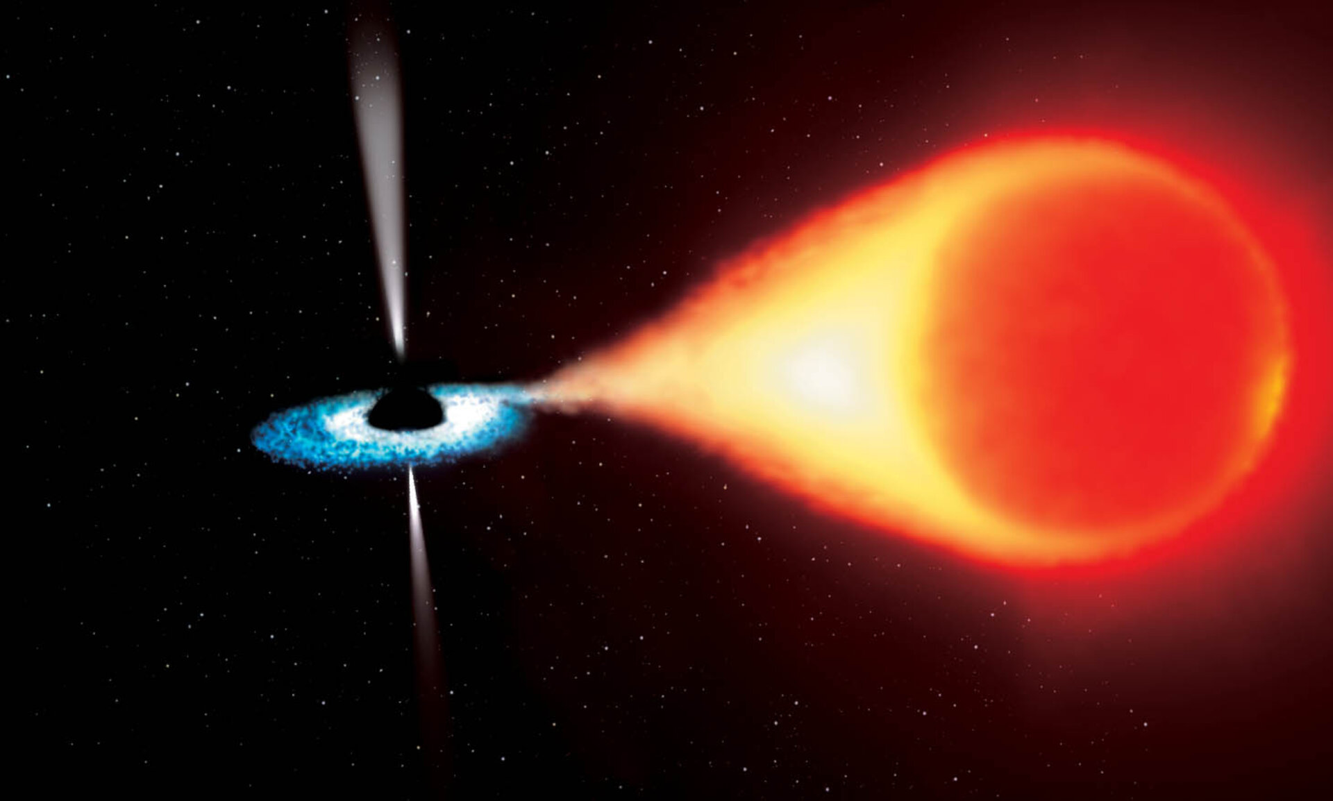 A stellar black hole can be seen when it rips a companion star to pieces
