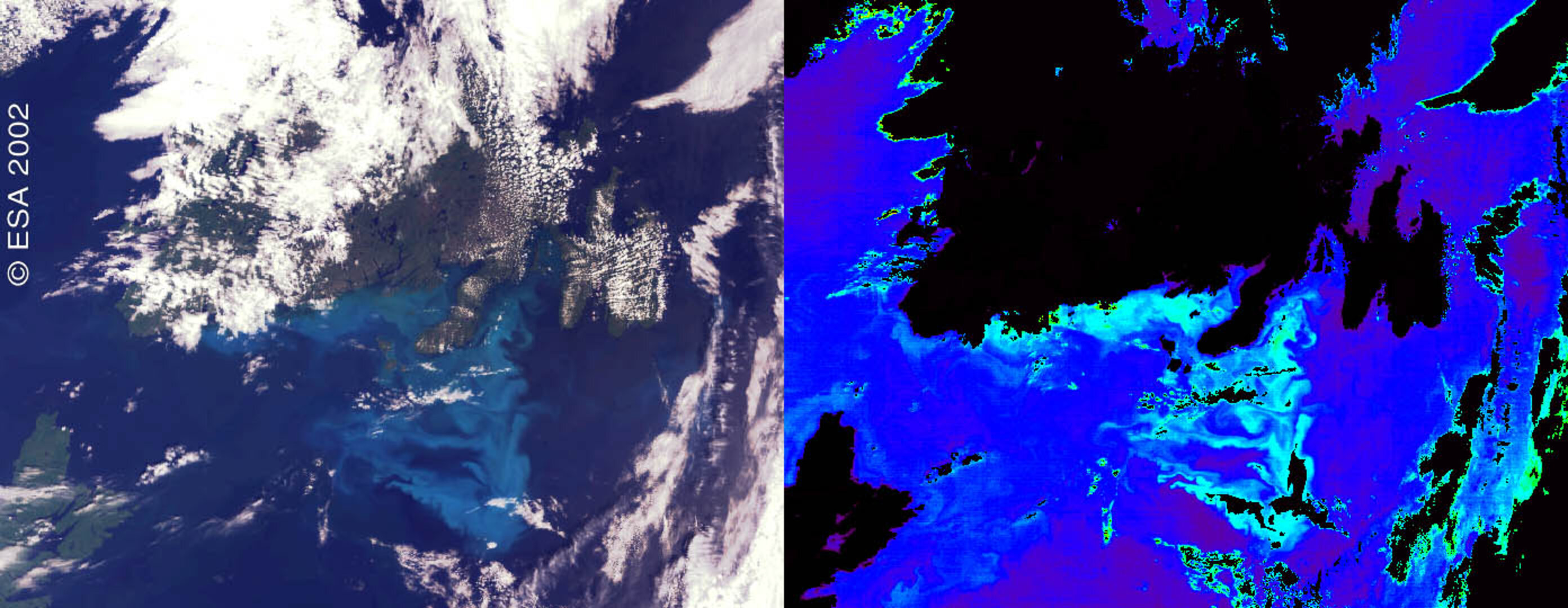 Two contrasting views of the Canadian phytoplankton bloom