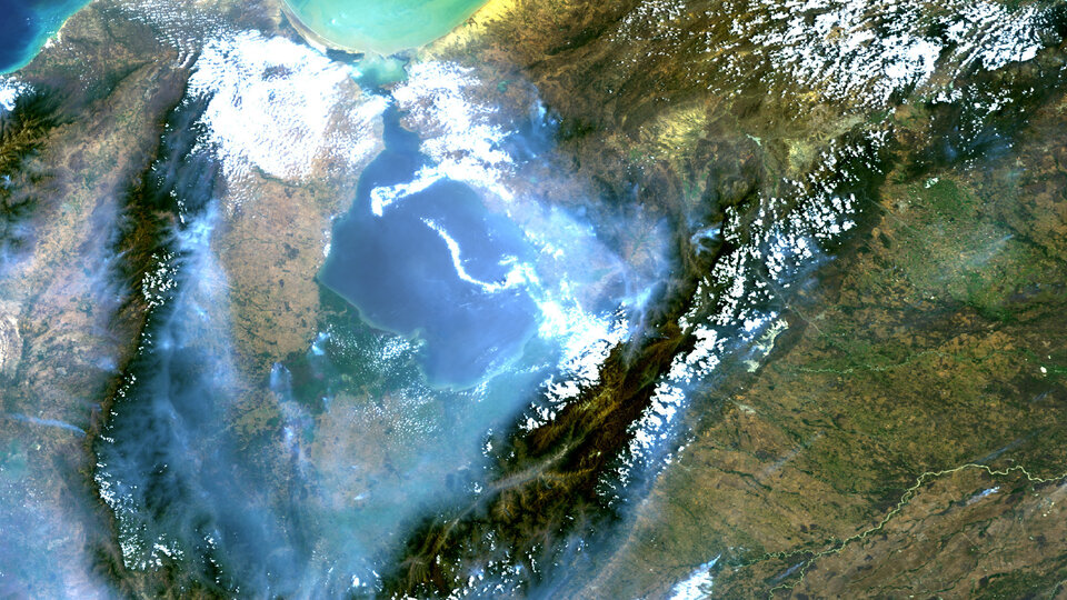 Forest fires observed by Envisat