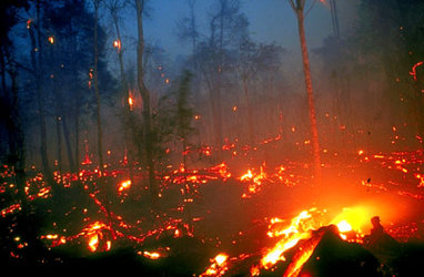 Burning peat swamps in Kalimantan, Borneo
