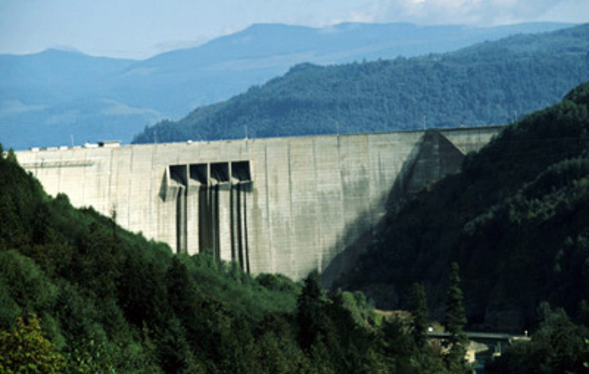 Hydropower is the leading renewable energy source
