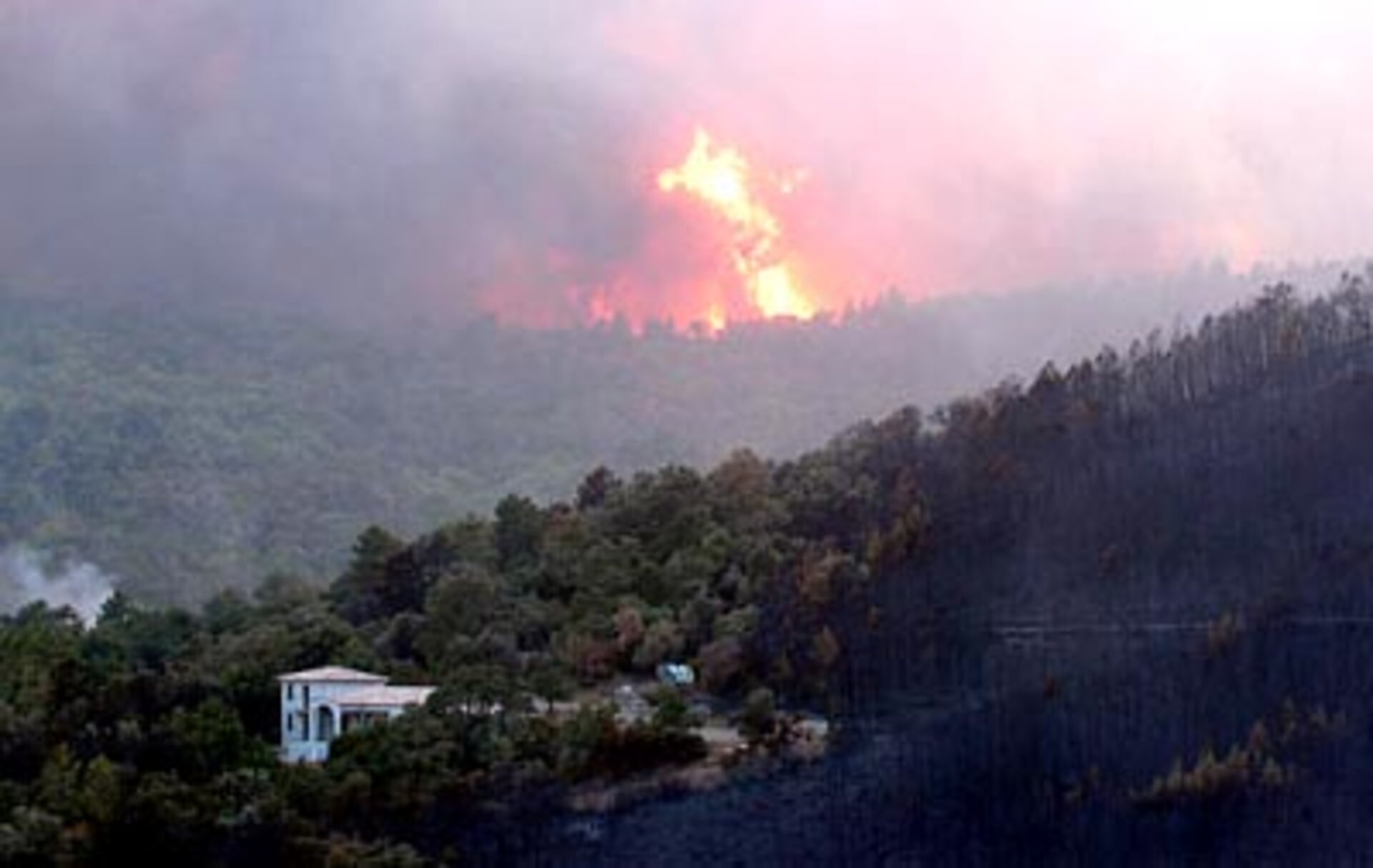 Flames in the forest near in La Garde-Freinet