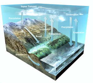 The Earth's water cycle