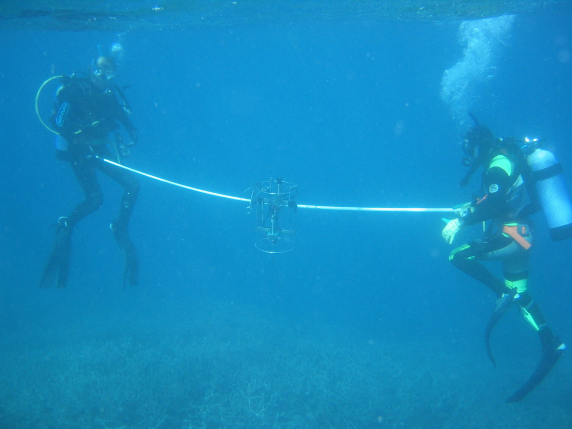 Divers perform validation checks
