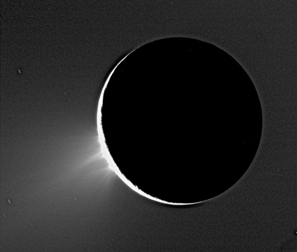 Sunlight scattering through Enceladus's water plumes