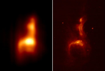AKARI images of reflection nebula IC4954