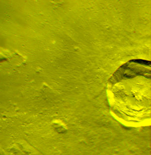 Anaglyph image of Kepler crater
