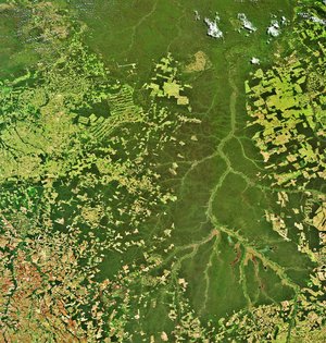 The Xingu River in Brazil captured by Envisat