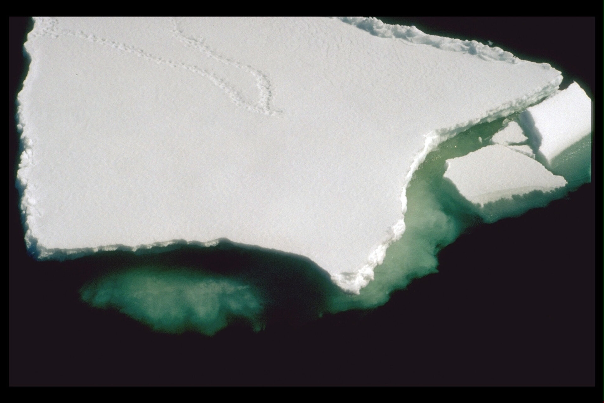 Sea-ice in the Antarctic
