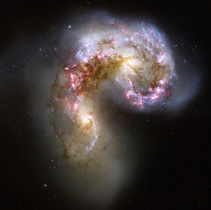 Hubble's view of the Antennae galaxies
