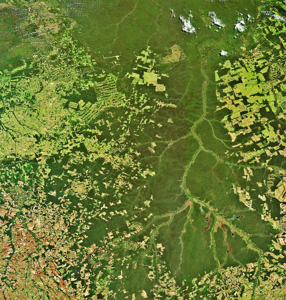 Envisat är en av de satelliter som kan tala om hur mycket regnskogen