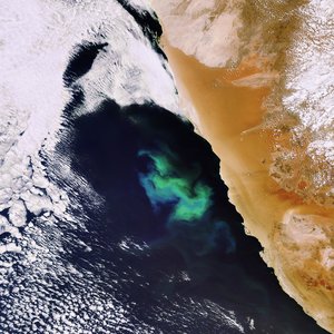 Swirls of a plankton bloom captured by Envisat