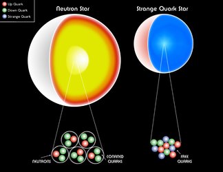 Neutron Star/Quark Star Interior
