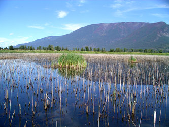 Creston Valley Wetlands, Canada