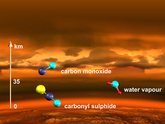 Molecules in the Venusian atmosphere