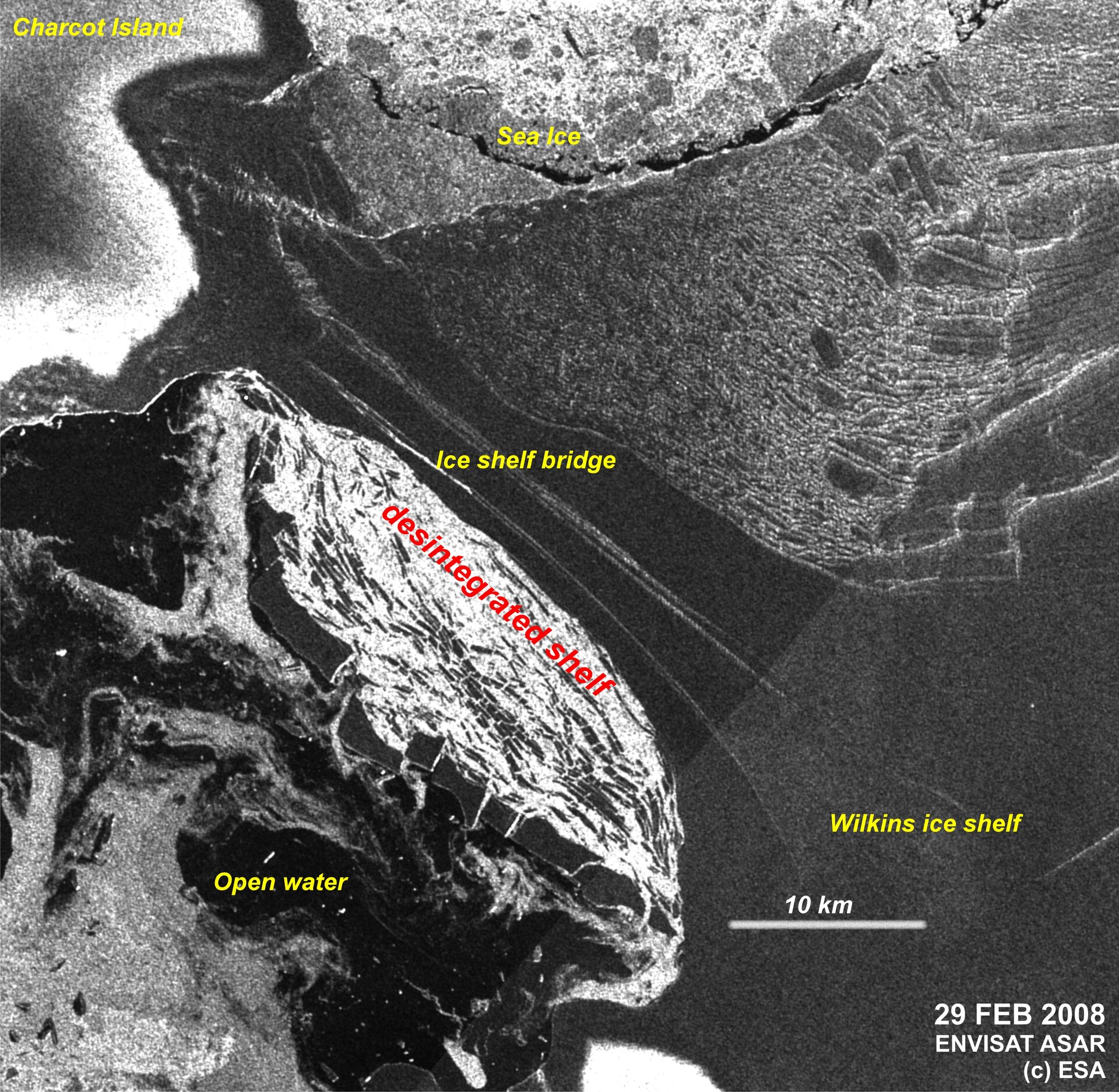 Envisat ASAR image of the Wilkins Ice Shelf