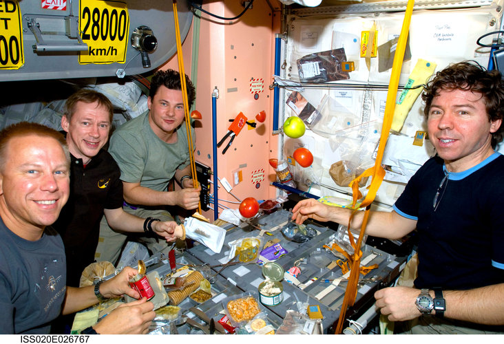 Expedition 20 crewmembers share a meal at the galley in Unity