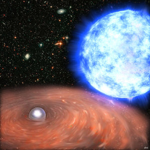 The white dwarf and its companion
