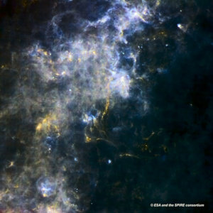 Cold gas in the Milky Way