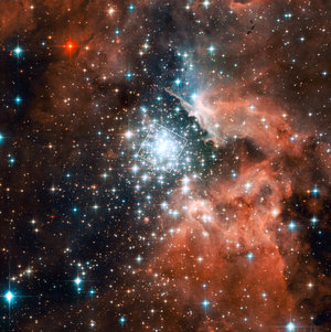 The massive compact star cluster in NGC 3603 and its surroundings