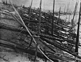 Das Tunguska-Ereignis führte 1908 zu gewaltigen Schäden in Sibirien