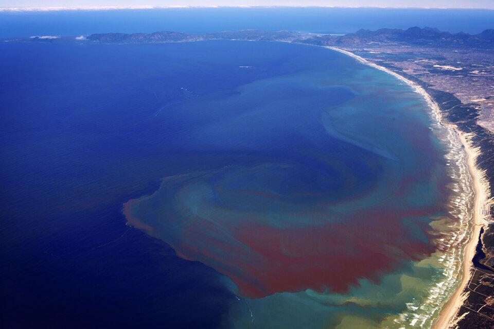 Red tides in Benguela upwelling