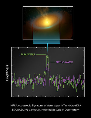 Detection of water vapour in the spectrum of TW Hydrae's protoplanetary disc