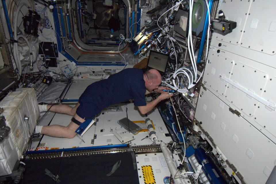 Andre Kuipers arbeitet an der Microgravity Science Glovebox