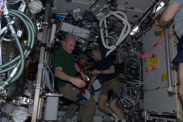 Expedition 30 crewmembers performing experiments