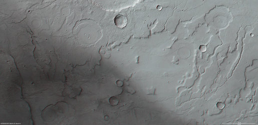 3D view of Acidalia Planitia and Tempe Terra