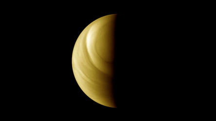Visiting Venus