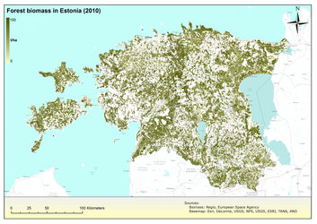 Forest biomass in Estonia