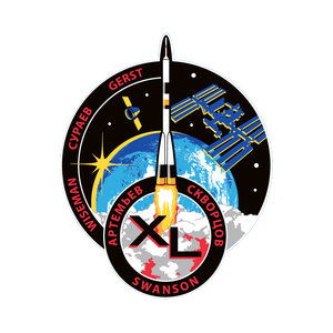 ISS Expedition 40 patch, 2014