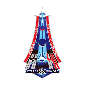 ISS Expedition 41 patch, 2014