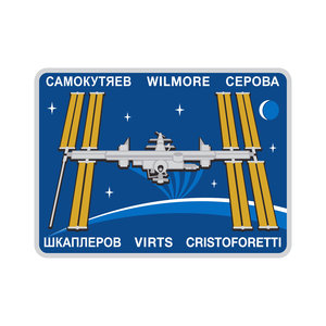 ISS Expedition 42 patch, 2014