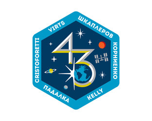 ISS Expedition 43 patch, 2015