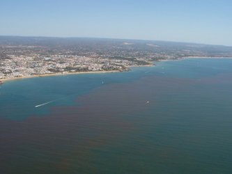 Red tide off the Portuguese coast