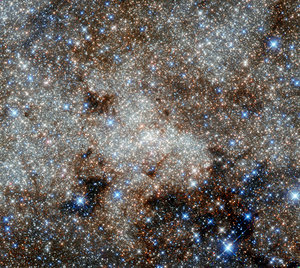 This image shows the star-studded centre of the Milky Way