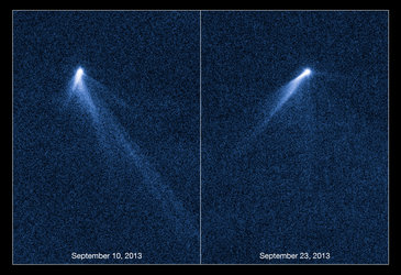 Bizarre six-tailed asteroid