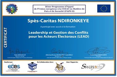 Online electoral eTraining certificate 