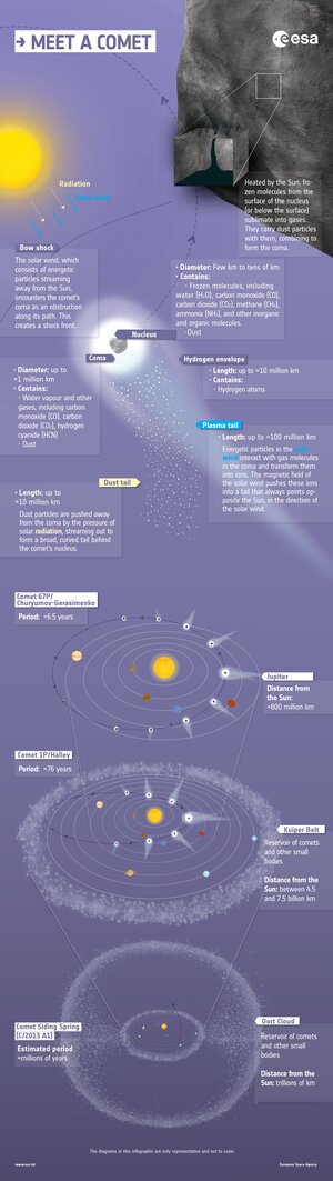 Anatomy of a comet - Infographic