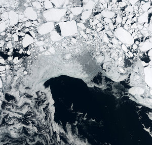 Sea ice, Arctic Ocean