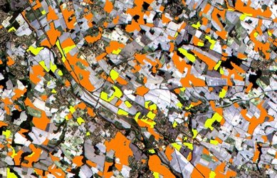 Sentinel-2 for agriculture